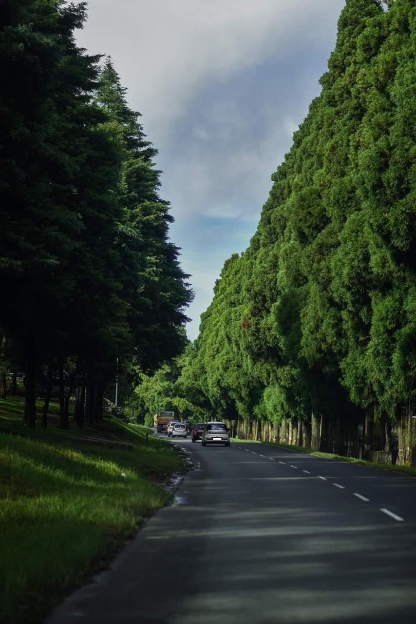 Shillong to Cherrapunji Road